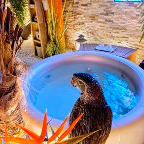 Spa privatif romantique 2 h. 189.-